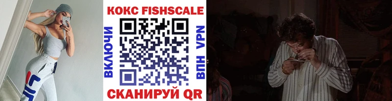 Cocaine FishScale  магазин продажи наркотиков  Вельск 