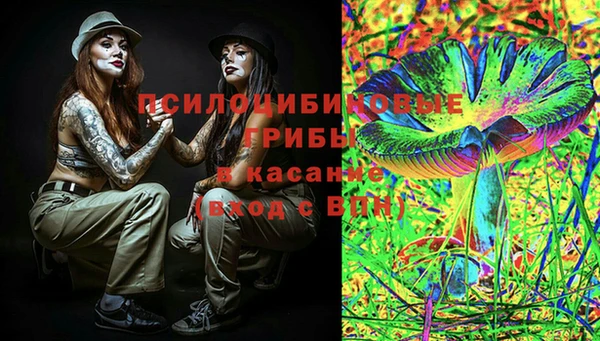 таблы Богданович