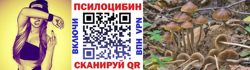 наркотики Вельск Галлюциногенные грибы GOLDEN TEACHER